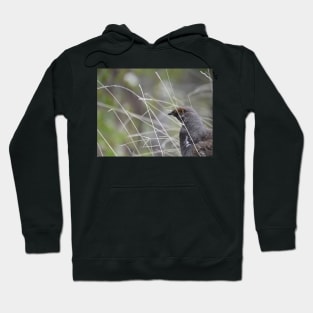 Dusky Grouse Hoodie